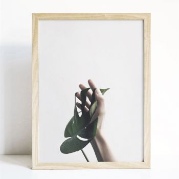 Tranh Canvas Đơn - Tĩnh lặng