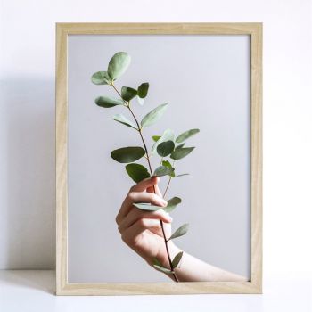 Tranh Canvas Đơn - Tĩnh lặng